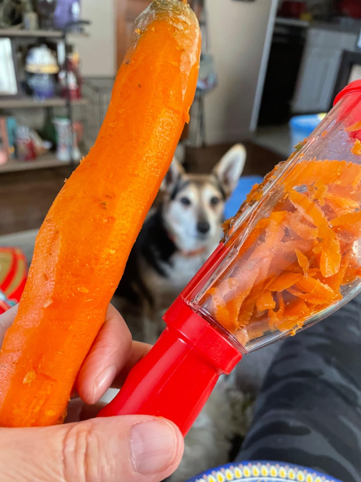 Texto alternativo de imagen